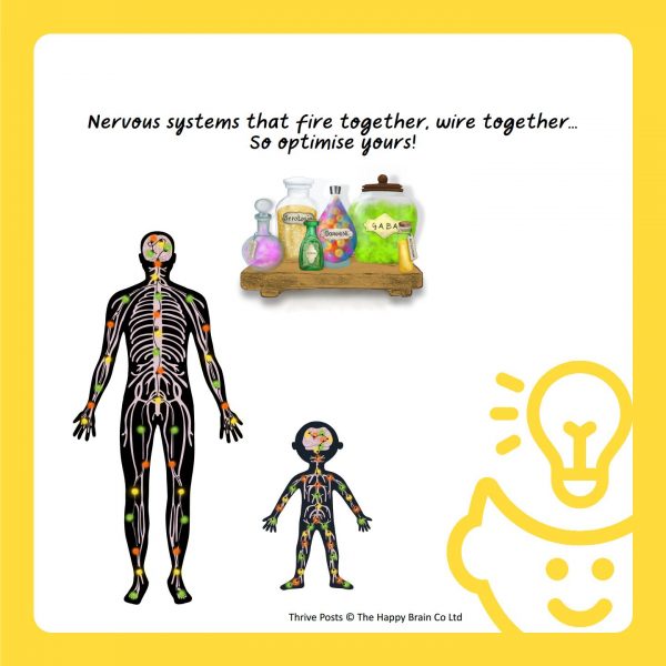 Image of nervous system